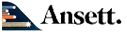Ansett New Zealand (1980s Colors)

