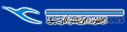 Kuwait Airways (1990s Colors - ver 3)
