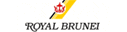 Royal Brunei Airlines (1990s Colors - ver 1)
