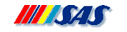 SAS Scandinavian Airlines (1980s Colors - ver 1)
