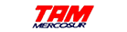 TAM Mercosur (ver 1)
