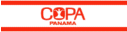 COPA Panama (1970s Colors)

