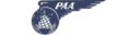 Pan American World Airways (1940s Colors - ver 4)
