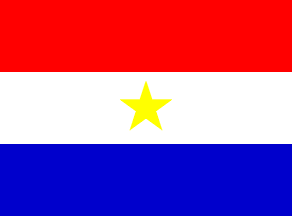 Paraguayan Naval Aviation (ANP)
fin flag
Keywords: ANP fin flag